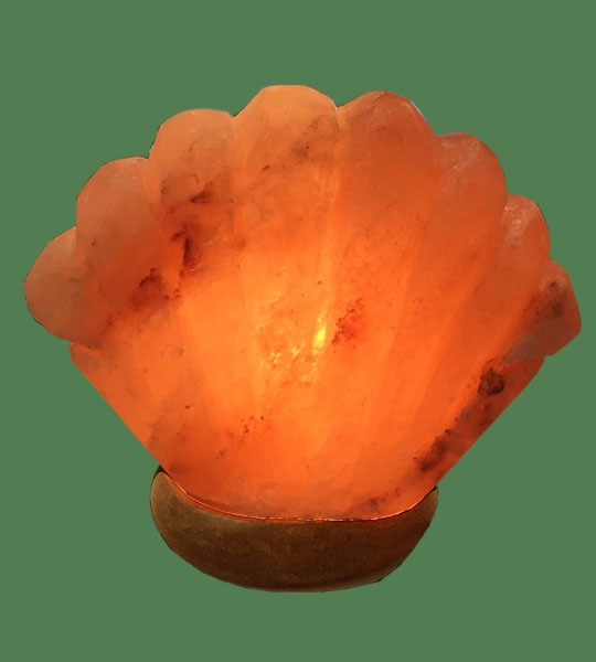 Himalayan Salt Lamp Pink Sea Shell